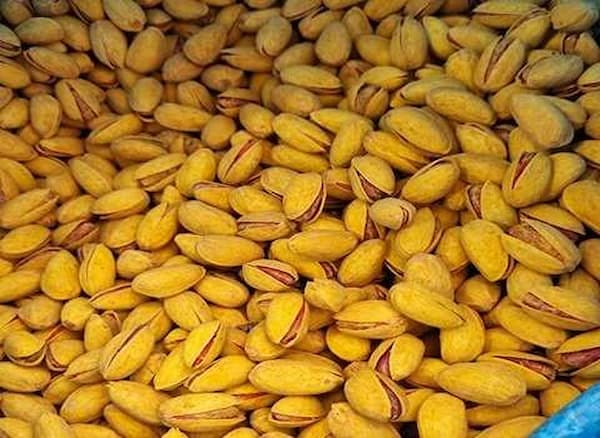 تصویر 3 از قیمت پسته زعفرانی + پخش تولیدی عمده کارخانه